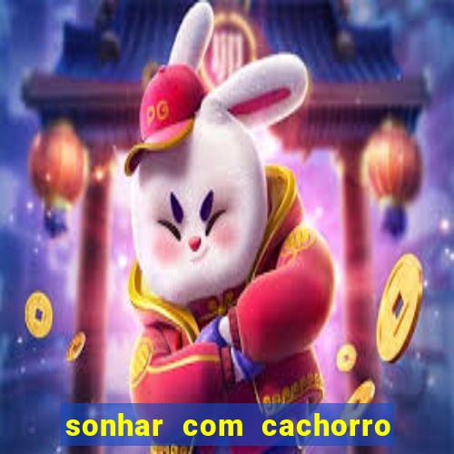 sonhar com cachorro numeros da mega sena